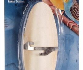 Os de seiche / Cuttle bone Living World