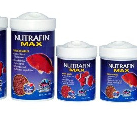 Nutrafin
Nourriture Pour Poisson / Fish Food
228g