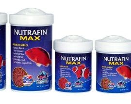 Nutrafin
Nourriture Pour Poisson / Fish Food
228g